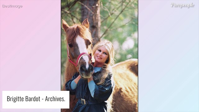 Brigitte Bardot : J'ai envie de vomir , la star révoltée par la mort barbare de Hercule