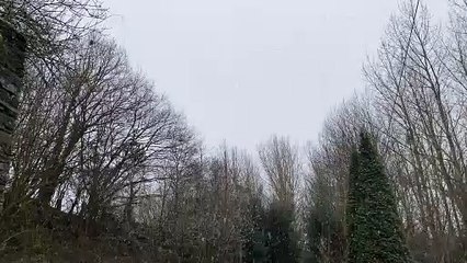 Quand tombe la neige...