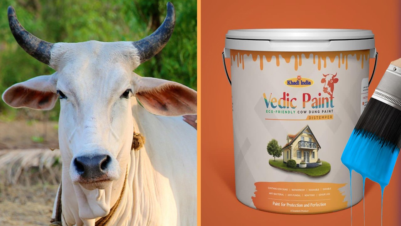 Prakritik Paint - Story of India's First Organic Paint Made From Cow Dung