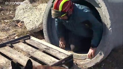 Hongrie : un service de chiens de sauvetage à secourir