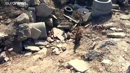 Spürhunde in Not: Die Ausbildung geht weiter