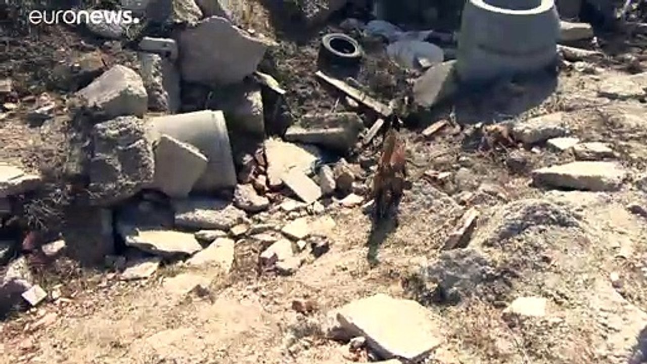 Spürhunde in Not: Die Ausbildung geht weiter