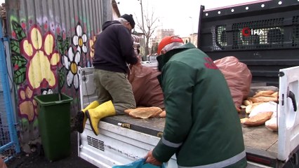 Bayat Ekmekler 2 Binden Fazla Hayvana Aş Oluyor