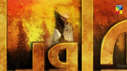 Alif Allah Aur Insaan Episode 41 HUM TV Drama