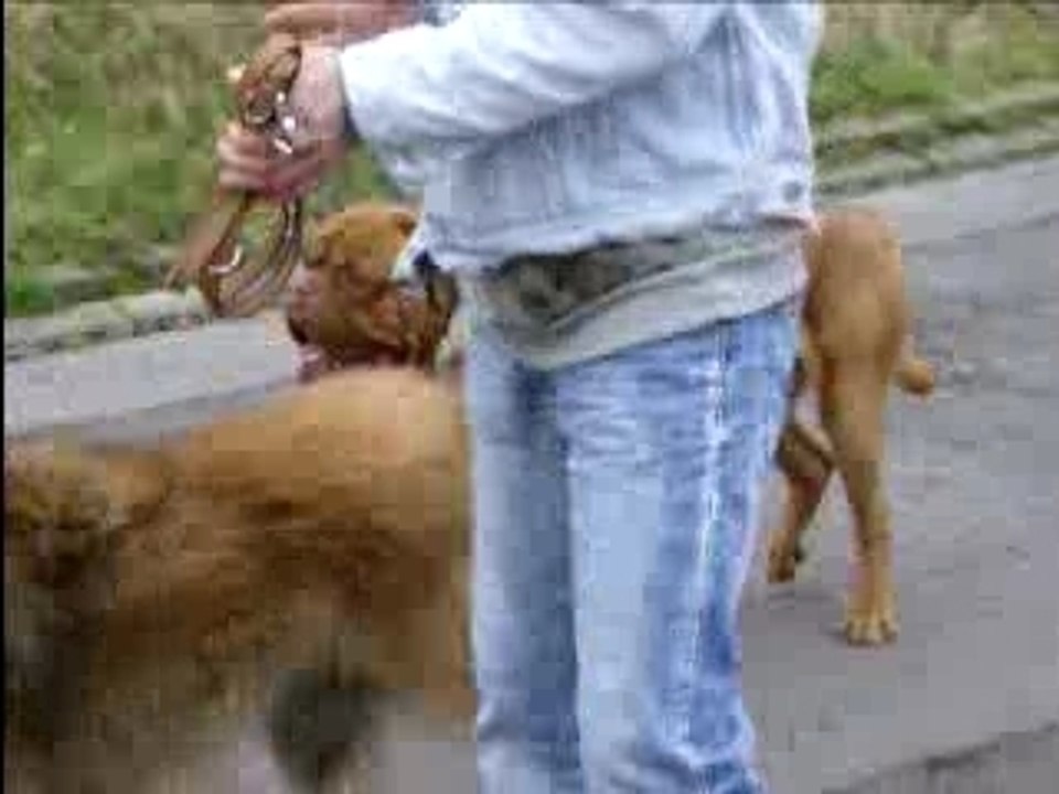 Video5