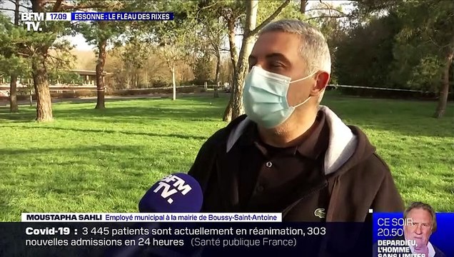 Essonne: le fléau des rixes - 27/02