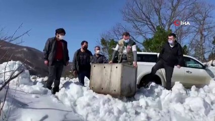 Sinop’ta yaralı karaca tedavi edilip doğaya salındı