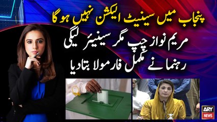Punjab Senate Election, Maryam Nawaz quiet but Senior PML-N leader exposed the complete formula