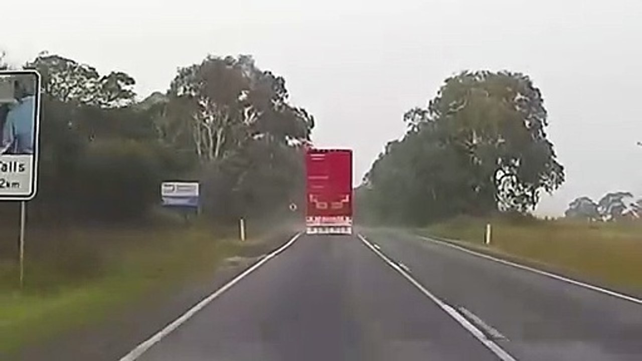 Une vache tente de s'échapper du camion avant l'abattoir