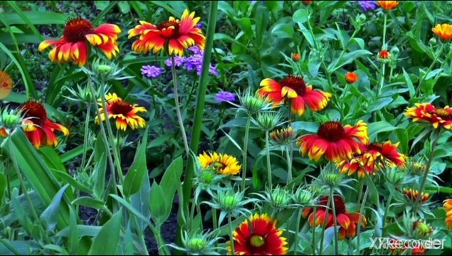 القانون الجنائي بطاقة الوفاء سلاح ذو حدين