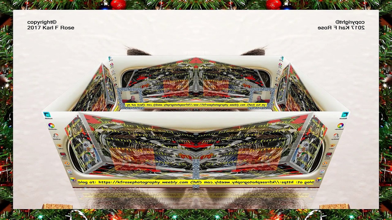 DANGER to cats Plastic Bags l cats and pets l Special effects 3D mirrored