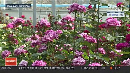 "꽃 보며 코로나 우울증 해소"…가습·공기정화는 덤