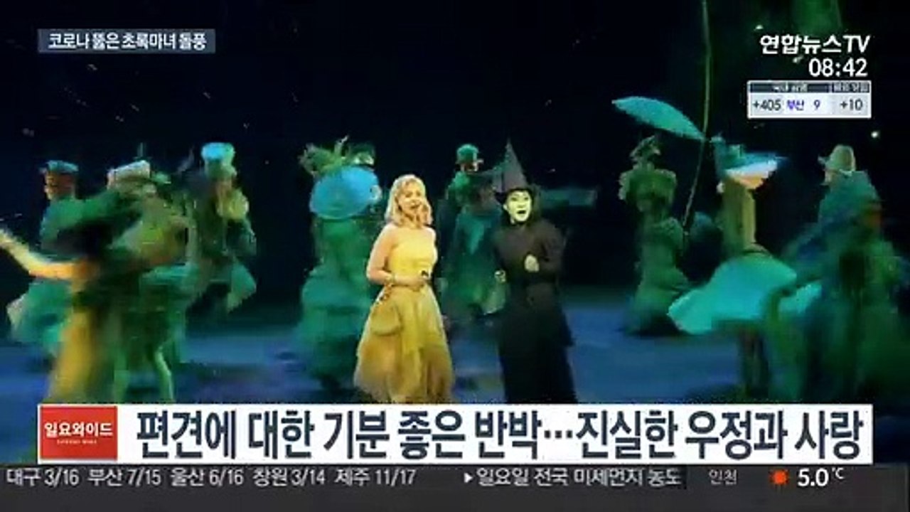 돌아온 '위키드'…흥행 돌풍 이끄는 4인 4색 마녀