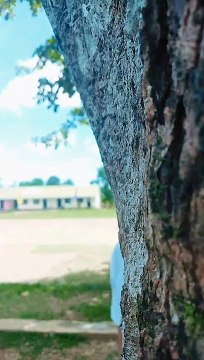 hello let's tip each other