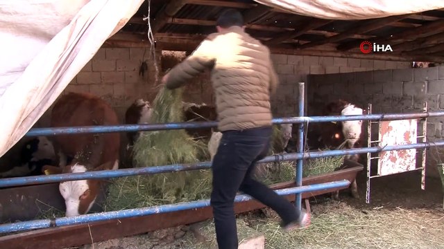 Üniversiteyi bitirip çiftçilik yaparak kendi işinin patronu oldu