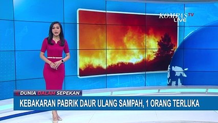 Kondisi Korban Kebakaran di Amerika Serikat dan Turki