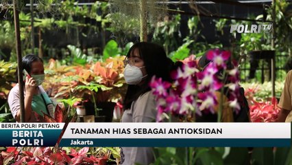 Berburu Tanaman Hias di Tengah Pandemi