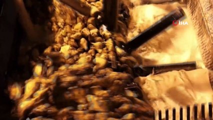 Ankara Şeker Fabrikası’ndan tüm zamanların en 'tatlı' rekoru