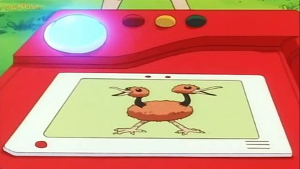 pokedex #084 doduo