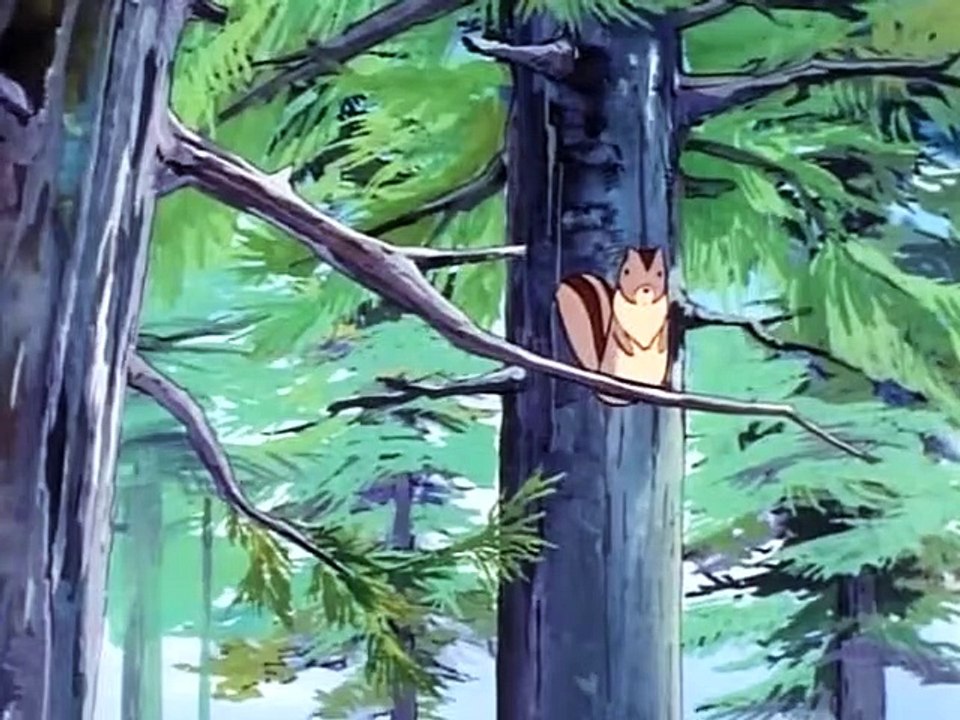 Heidi - 45. Vamos a ver las flores