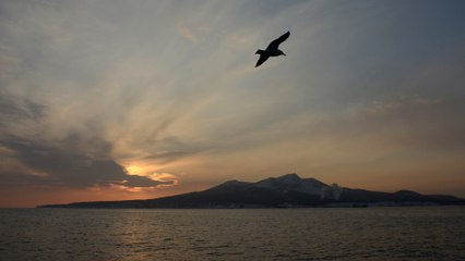 COVID-19 vaccine roll-out for Pacific Islands ‘could take years’