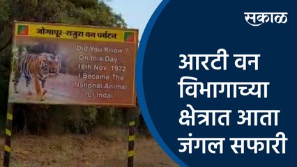 आरटी वन विभागाच्या क्षेत्रात आता जंगल सफारी | Chandrapur | Maharashtra | Sakal Media |