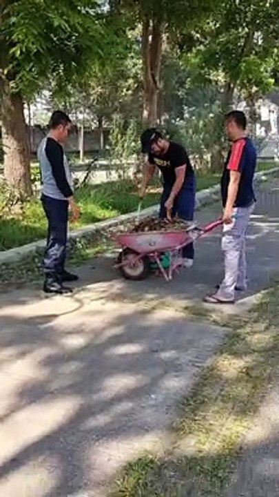 Salam kompak