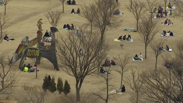 백신 접종 뒤 첫 휴일 거리 '북적'... 거리 두기 완화 기대 / YTN