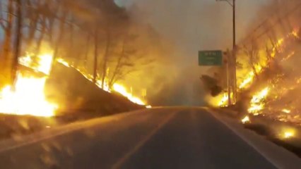 이례적 2월 산불...피해 면적 평년의 9.4배 / YTN