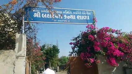 साइकिल पर खाद की थैली लेकर मतदान करने पहुंचे धानाणी