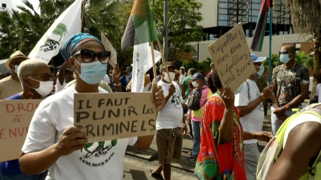 Scandale du chlordécone : les Martiniquais dans la rue pour « reprendre le combat »