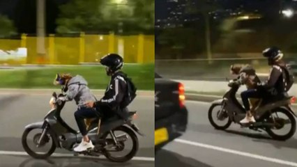 Perro 'motociclista' causó revuelo e indignación en Envigado