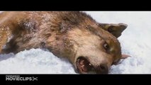 Twilight_ Breaking Dawn Part 2 (8_10) Movie CLIP - The Battle Rages On (2012) HD