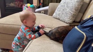 Funniest Baby And Cat Funny Baby Video