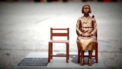 망언·회계부정?소녀상 테러...끝없는 '위안부 피해자 수난' / YTN
