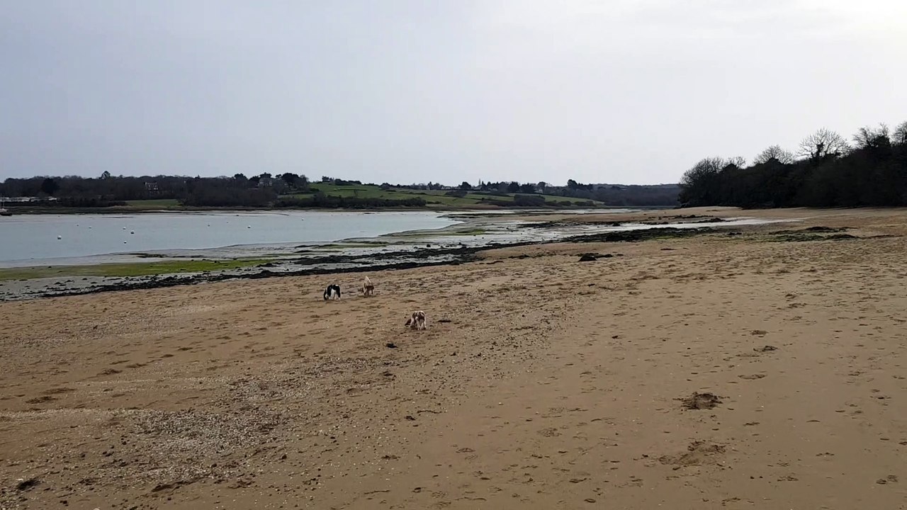 A la plage à Lancieux 21 02