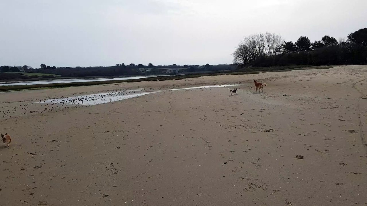 A la plage à Lancieux 21 02 3