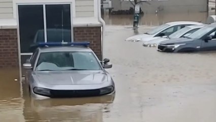 Video herunterladen: Heavy rain leaves wide swaths of Kentucky flooded