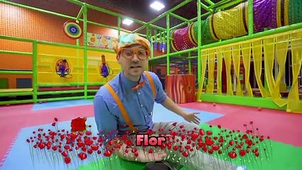 Download Video: Blippi Español Aprende los 5 Sentidos | Nuevo Video! | Videos Educativos para Niños