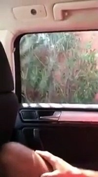 Il essaie de voler une voiture aux vitres teintées alors que le propriétaire est dedans