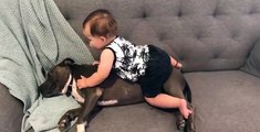 Ces parents laissent leur bébé jouer sur un gros chien... adorable ou terrifiant?