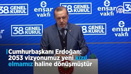 "2053 vizyonumuz yeni kızıl elmamız haline dönüşmüştür"