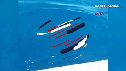 Orkinos sürüsünü balıkla böyle beslediler