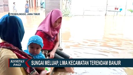 Warga Probolinggo Digigit Ular Saat Bersihkan Rumah Pasca Banjir