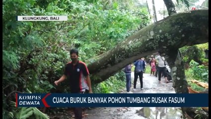 Cuaca Buruk Banyak Pohon Tumbang Rusak VASUM