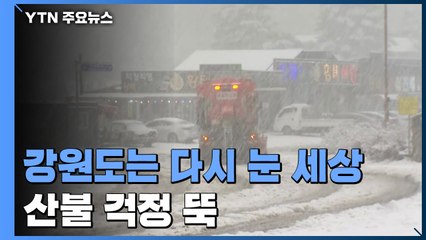 강원도는 다시 한겨울 눈 세상...산불 걱정 뚝 / YTN