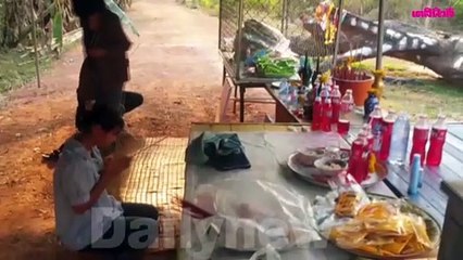 คอหวย แห่ขอเลขตะเคียนยักษ์ เชื่อ88-48 มาแรง