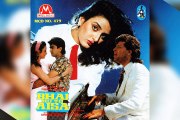 Har Dil Jo Pyaar Karega ~ Kumar Sanu & Jayshree Shivram || Bhai Ho To Aisa 1995
