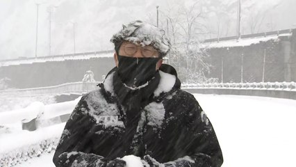 강원도는 다시 한겨울 눈 세상...산불 걱정 '뚝' / YTN