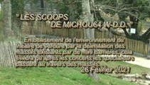 LES SCOOPS DE MICHOU64 W-D.D. - 26 FÉVRIER 2021 - PAU - PARC BEAUMONT CRÉATION DE MASSIFS AUTOUR DU THÉÂTRE DE VERDURE